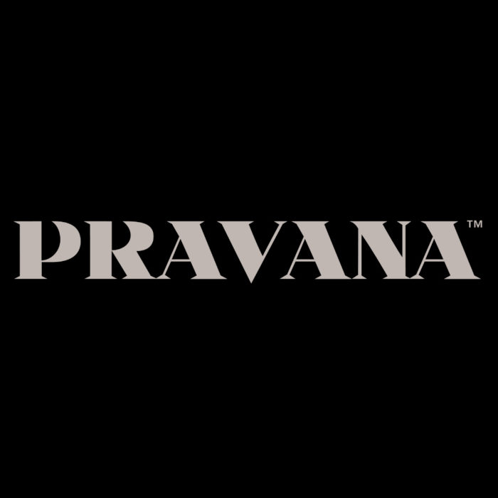 content-home-partners-pravana